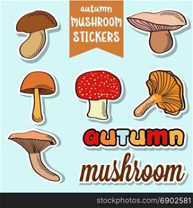 lovely doodle autumn mushroom stickers