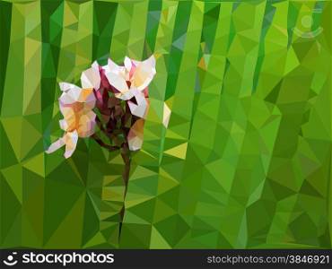 Low poly geometric of Plumeria flower on green background