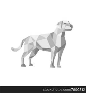 Low polygon art style illustration of a labrador retriever, a medium-large breed of retriever-gun dog standing viewed from side on isolated white background.. Labrador Standing Low Polygon