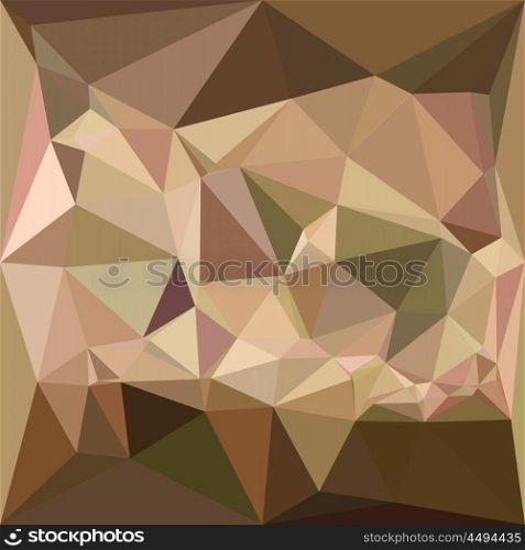 Low polygon style illustration of a burlywood abstract geometric background.. Burlywood Abstract Low Polygon Background