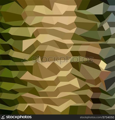 Low polygon style illustration of a camouflage abstract background.. Camouflage Abstract Low Polygon Background