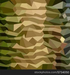 Low polygon style illustration of a camouflage abstract background.. Camouflage Abstract Low Polygon Background