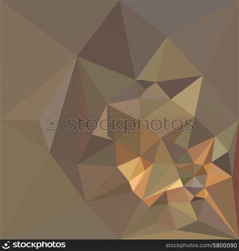 Low polygon style illustration of a dark tan brown abstract geometric background.. Dark Tan Brown Abstract Low Polygon Background
