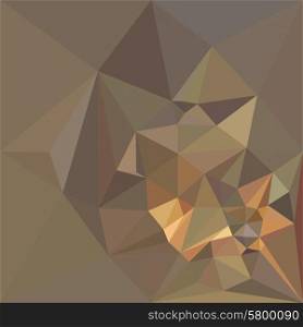 Low polygon style illustration of a dark tan brown abstract geometric background.. Dark Tan Brown Abstract Low Polygon Background