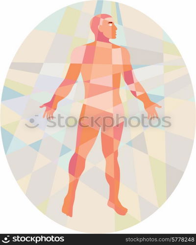 Low polygon style illustration of a gross anatomy male with hands on the side viewed from front set inside oval. . Gross Anatomy Male Oval Low Polygon