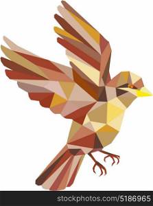 Low polygon style illustration of a sparrow flying viewed from the side set on isolated white background. . Sparrow Flying Low Polygon