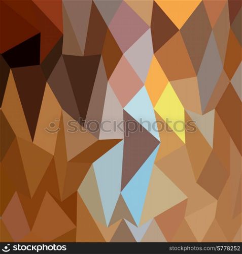 Low polygon style illustration of dark tangerine abstract geometric background.. Dark Tangerine Abstract Low Polygon Background