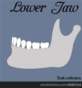lower jaw, mandible, bottom jaw with tooth, teeth collection, vector