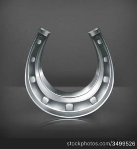 Lucky horseshoe, vector