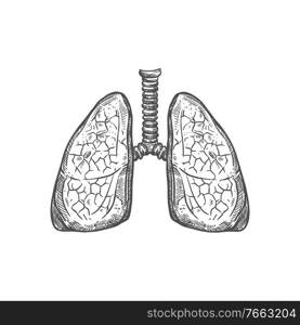 Lungs icon, respiratory system isolated monochrome vector. Internal human organ sketch. Human lungs sketch icon, respiratory system
