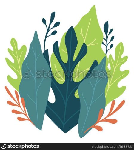 Lush greenery of foliage and leaves, isolated flora and exotic tropical plants and botany. Blooming and blossoming delicate bouquet, elegant decoration or present for holiday. Vector in flat style. Leaves and foliage, bush with lush greenery vector