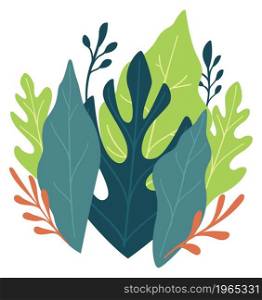 Lush greenery of foliage and leaves, isolated flora and exotic tropical plants and botany. Blooming and blossoming delicate bouquet, elegant decoration or present for holiday. Vector in flat style. Leaves and foliage, bush with lush greenery vector