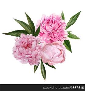 Lush pink peonies bouquet with leaves, hand drawn vector watercolor illustration
