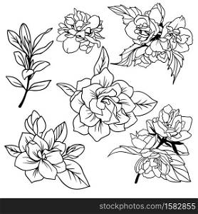 Lush spring flowers with leaves, gardenia and jasmine, hand drawn vector illustration