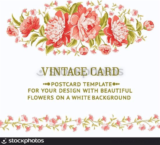Luxurious invitation card of color peony flowers. Vector illustration.