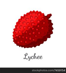 Lychee exotic juicy fruit vector isolated. Litchi liechee, liche and lizhi, li zhi, or lichee tropical edible food, dieting vegetable full of vitamins. Lychee Exotic Juicy Fruit Vector Litchi Liechee