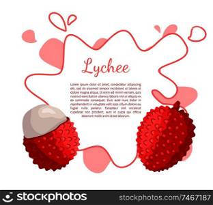 Lychee exotic juicy fruit vector poster, frame and text. Litchi liechee, liche and lizhi, li zhi, or lichee tropical edible food, dieting full of vitamins. Lychee Exotic Juicy Fruit Vector Poster Frame