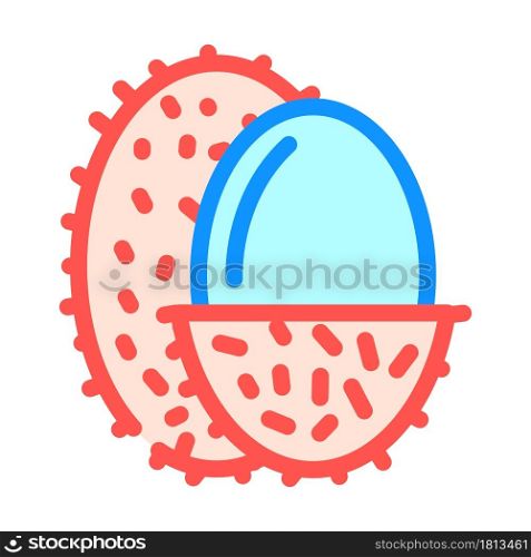 lychee fruit color icon vector. lychee fruit sign. isolated symbol illustration. lychee fruit color icon vector illustration