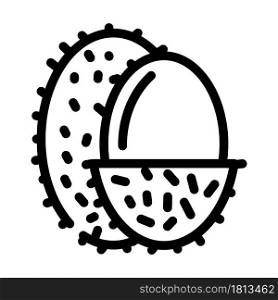 lychee fruit line icon vector. lychee fruit sign. isolated contour symbol black illustration. lychee fruit line icon vector illustration