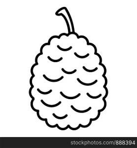 Lychees icon. Outline lychees vector icon for web design isolated on white background. Lychees icon, outline style