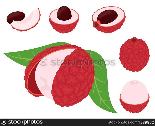 Lychees icons set. Isometric set of lychees vector icons for web design isolated on white background. Lychees icons set, isometric style