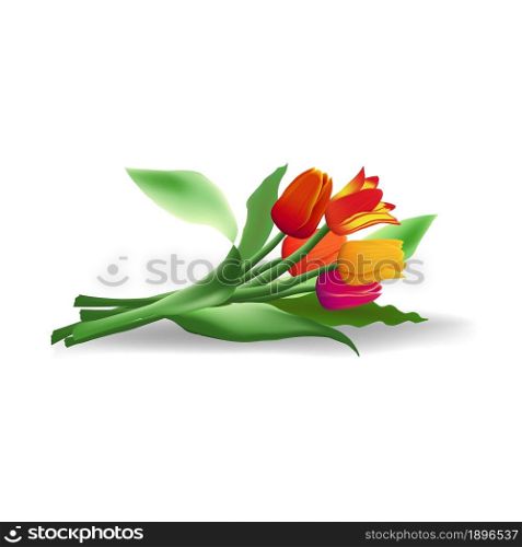 Lying bouquet of five realistic vector tulips with shadow isolated on white background. Red, yellow and purple flower buds. Green long leaves.