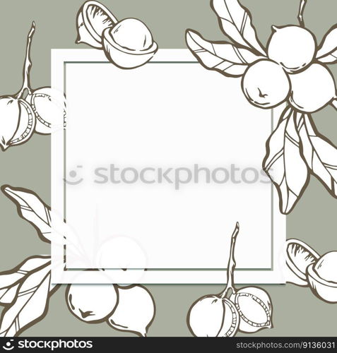 Macadamia background design template. Nuts on leaf branch with white square frame and place for text. Hand drawn vector elements on green background.