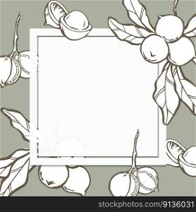 Macadamia background design template. Nuts on leaf branch with white square frame and place for text. Hand drawn vector elements on green background.