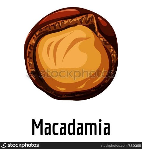 Macadamia icon. Cartoon of macadamia vector icon for web design isolated on white background. Macadamia icon, cartoon style