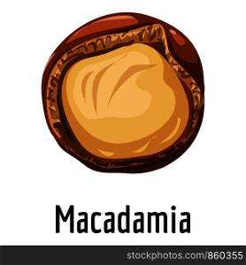 Macadamia icon. Cartoon of macadamia vector icon for web design isolated on white background. Macadamia icon, cartoon style