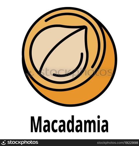 Macadamia icon. Outline macadamia vector icon color flat isolated on white. Macadamia icon color outline vector