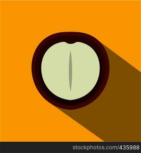 Macadamia nut icon. Flat illustration of macadamia nut vector icon for web on yellow background. Macadamia nut icon, flat style