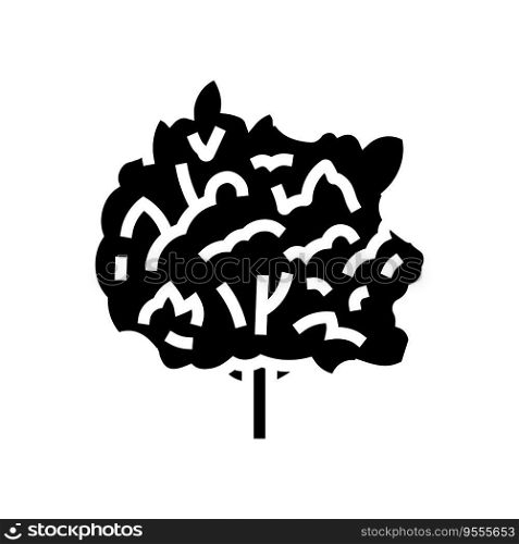 macadamia tree jungle amazon glyph icon vector. macadamia tree jungle amazon sign. isolated symbol illustration. macadamia tree jungle amazon glyph icon vector illustration