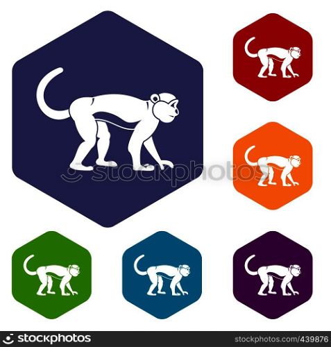 Macaque icons set hexagon isolated vector illustration. Macaque icons set hexagon