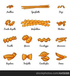 Macaroni, spaghetti and others type of italian pasta. Vector pictures isolate on white. Italian cuisine food, traditional type spaghetti illustration. Macaroni, spaghetti and others type of italian pasta. Vector pictures isolate on white