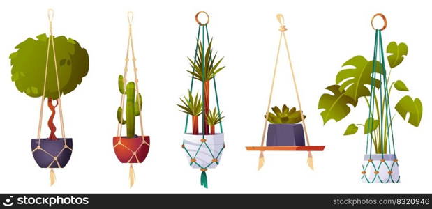 Macrame hangers with green house plants and flowers. Handmade planters, hanging pots with cactus, ficus, dracaena and monstera for home interior, garden or greenhouse, vector cartoon set. Macrame hangers with green house plants