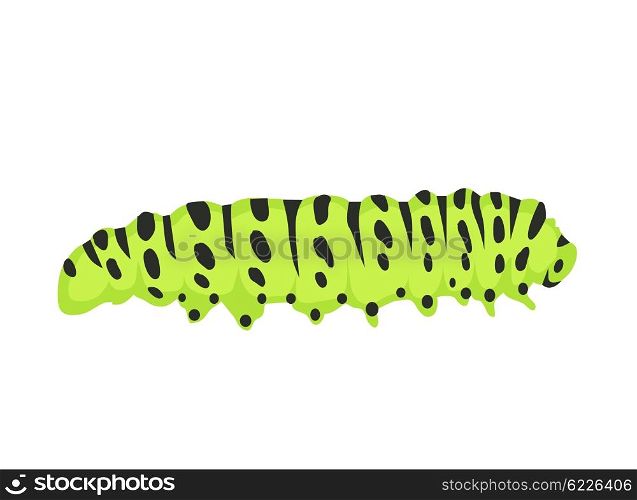 Macro of Green Caterpillars Isolated on White. Agriculture pest caterpillar icon. Macro of caterpillars isolated on white. Polyxena caterpillar vector illustration
