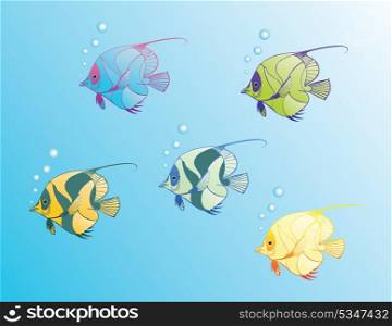 Magic fishes2. The beautiful fishes of five colours are floating.