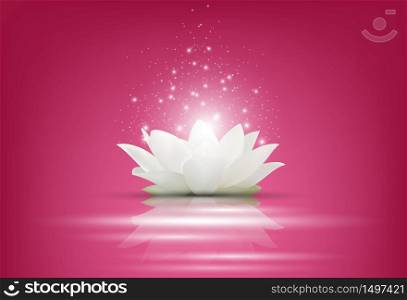 Magic White Lotus flower on pink background.Vector