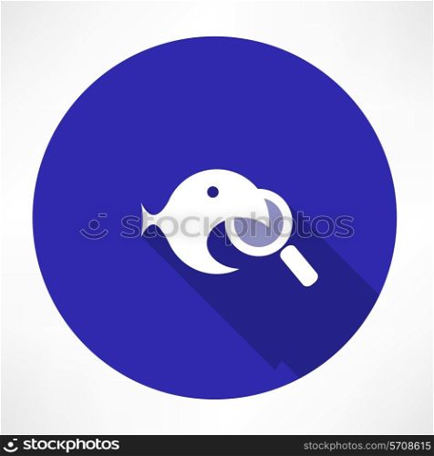 Magnifying Glass with a fish icon. Flat modern style vector illustration