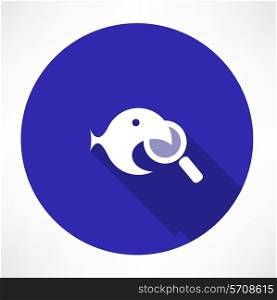 Magnifying Glass with a fish icon. Flat modern style vector illustration