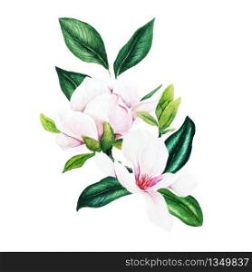 Magnolia and leaves, bright watercolor bouquet, hand drawn vector illustration