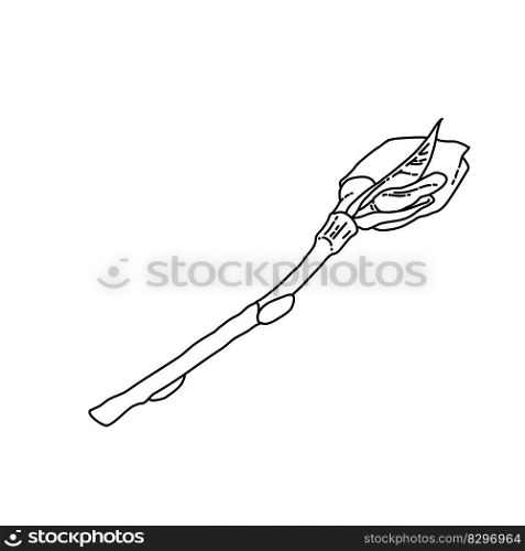 Magnolia branch with bud and leaf line art. Hand drawn realistic detailed vector illustration. Black and white clipart isolated. . Magnolia branch with bud and leaf line art. Hand drawn realistic detailed vector illustration. Black and white clipart. 