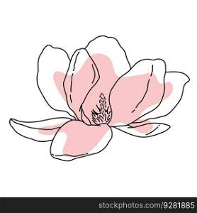 Magnolia flower blooming art. Hand drawn realistic detailed vector illustration. Black outline and pink shape clipart isolated . Magnolia flower blooming art. Hand drawn realistic detailed vector illustration. Black outline and pink shape clipart 