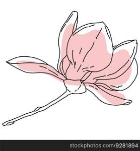 Magnolia flower blooming art. Hand drawn realistic detailed vector illustration. Black outline and pink shape clipart isolated. Magnolia flower blooming art. Hand drawn realistic detailed vector illustration. Black outline and pink shape clipart