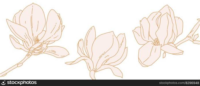 Magnolia flower blooming art. Hand drawn realistic detailed vector illustration. Golden luxury clipart isolated. Horizontal banner.. Magnolia flower blooming art. Hand drawn realistic detailed vector illustration. Golden luxury clipart. Horizontal banner.
