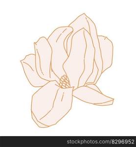 Magnolia flower blooming art. Hand drawn realistic detailed vector illustration. Golden luxury clipart isolated. . Magnolia flower blooming art. Hand drawn realistic detailed vector illustration. Golden luxury clipart. 