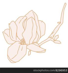 Magnolia flower blooming art. Hand drawn realistic detailed vector illustration. Golden luxury clipart isolated. . Magnolia flower blooming art. Hand drawn realistic detailed vector illustration. Golden luxury clipart. 