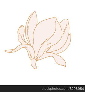 Magnolia flower blooming art. Hand drawn realistic detailed vector illustration. Golden luxury clipart isolated. . Magnolia flower blooming art. Hand drawn realistic detailed vector illustration. Golden luxury clipart. 