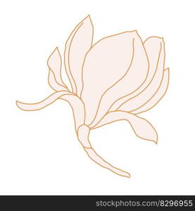 Magnolia flower blooming art. Hand drawn realistic detailed vector illustration. Golden luxury clipart isolated. . Magnolia flower blooming art. Hand drawn realistic detailed vector illustration. Golden luxury clipart. 